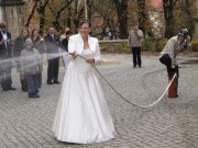 Svatba