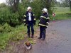 Odstrann pekky ze silnin komunikace