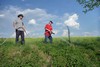 Zalvn strom