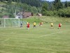 Druba s Halenkovem