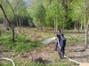 Zalvn lesnho porostu