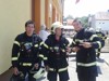 Cvien 2013
