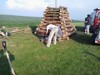 Plen arodjnic 2014