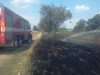 Požár podél železnice