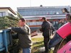 Vnon strom 2009