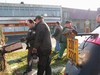 Vnon strom 2009