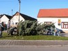 Vnon strom 2009