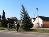 Vnon strom 2009