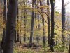 Podzim na Halenkovicch