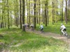 Chřibská 50