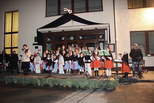 Vnon strom 2013
