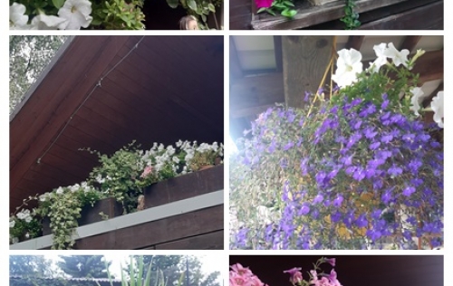 Photo 3692