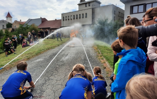 Photo 585